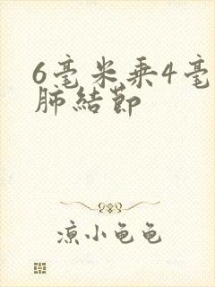 6毫米乘4毫米肺结节