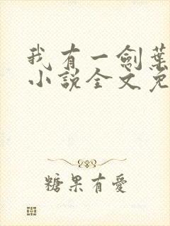 我有一剑叶观 小说全文免费阅读封面