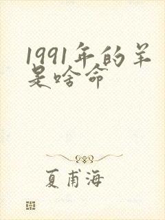 1991年的羊是啥命