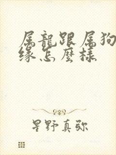 属龙跟属狗的姻缘怎么样