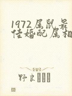 1972属鼠最佳婚配属相是什么呢