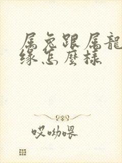 属兔跟属龙的姻缘怎么样