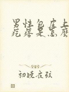 男性包皮上长小疙瘩是怎么一回事封面