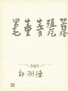 男生生殖器上面毛里有疙瘩封面