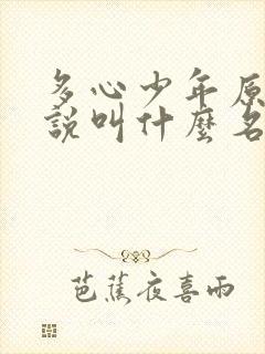 多心少年原著小说叫什么名字