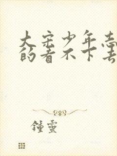 大宋少年志我真的看不下去封面