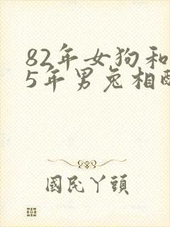 82年女狗和75年男兔相配婚姻如何