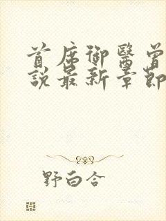 首席御医曾毅小说最新章节列表封面