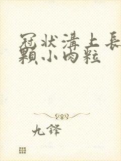 冠状沟上长了几颗小肉粒