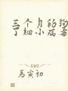 三个月的狗感染了细小病毒怎么治