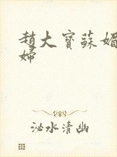 赵大宝苏媚儿媳妇