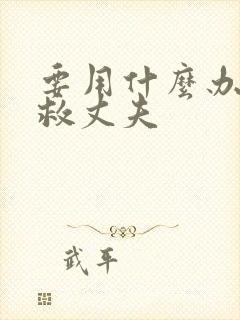 要用什么办法拯救丈夫封面