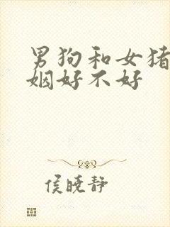 男狗和女猪配婚姻好不好封面