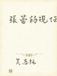 张蕾的现任丈夫