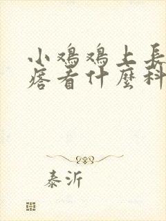 小鸡鸡上长小疙瘩看什么科