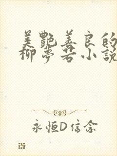 美艳善良的教师柳梦若小说阅读