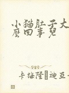 小猫肚子大是怎么回事儿