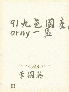 91九色国产porny一区
