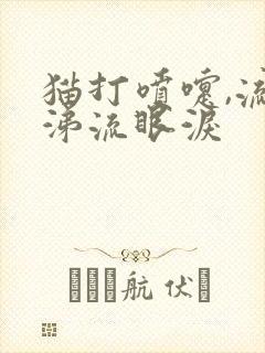 猫打喷嚏,流鼻涕流眼泪