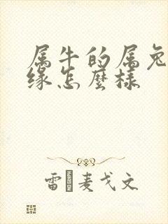 属牛的属兔的姻缘怎么样