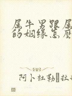 属牛男跟属兔女的姻缘怎么样