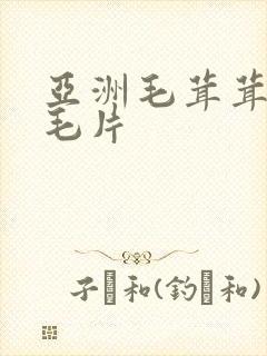 亚洲毛茸茸女人毛片