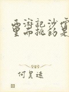 西游记沙僧担子里面挑的是什么