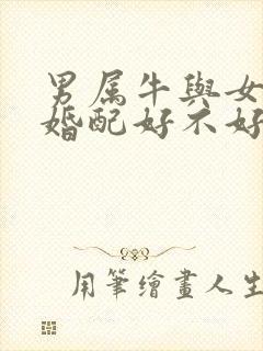 男属牛与女属虎婚配好不好