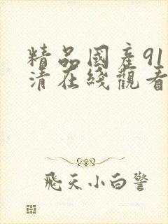 精品国产91高清在线观看