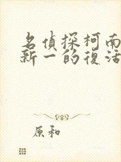 名侦探柯南工藤新一的复活封面