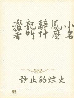 潜龙辞凤小说原著叫什么名字封面