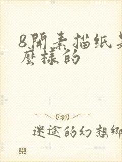 8开素描纸是什么样的封面