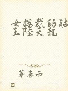 女总裁的贴身兵王陆天龙封面