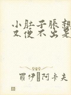 小肚子胀想大便又便不出是怎么回事