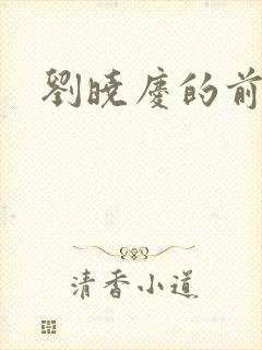 刘晓庆的前夫封面