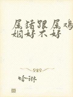 属猪跟属鸡的婚姻好不好