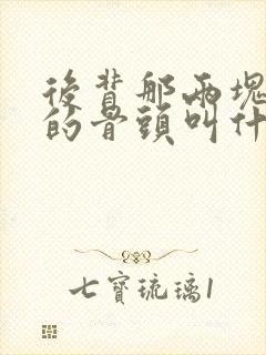 后背那两块凸起的骨头叫什么