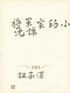 将军家的小娘子 沈锦封面