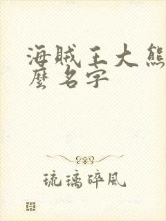 海贼王大熊叫什么名字