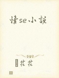 情se小说