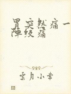 胃突然痛一阵一阵绞痛封面