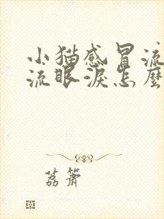 小猫感冒流鼻涕流眼泪怎么办