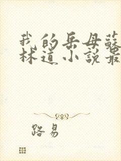 我的岳母苏沛真林道小说最新章节送子女婿