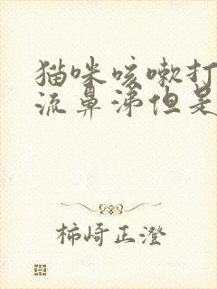 猫咪咳嗽打喷嚏流鼻涕但是精神很好封面