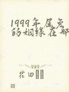 1999年属兔的姻缘在哪年封面