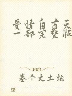 爱情自有天意第一部完整版