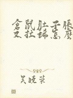 仓鼠肚子胀胀的又拉稀怎么办