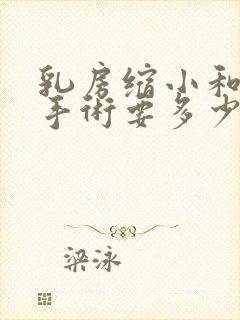 乳房缩小和提升手术要多少钱