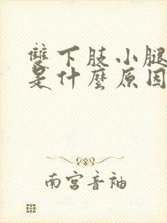 双下肢小腿胀痛是什么原因封面