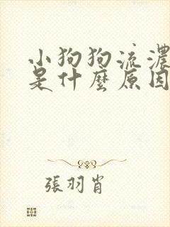 小狗狗流浓鼻涕是什么原因?